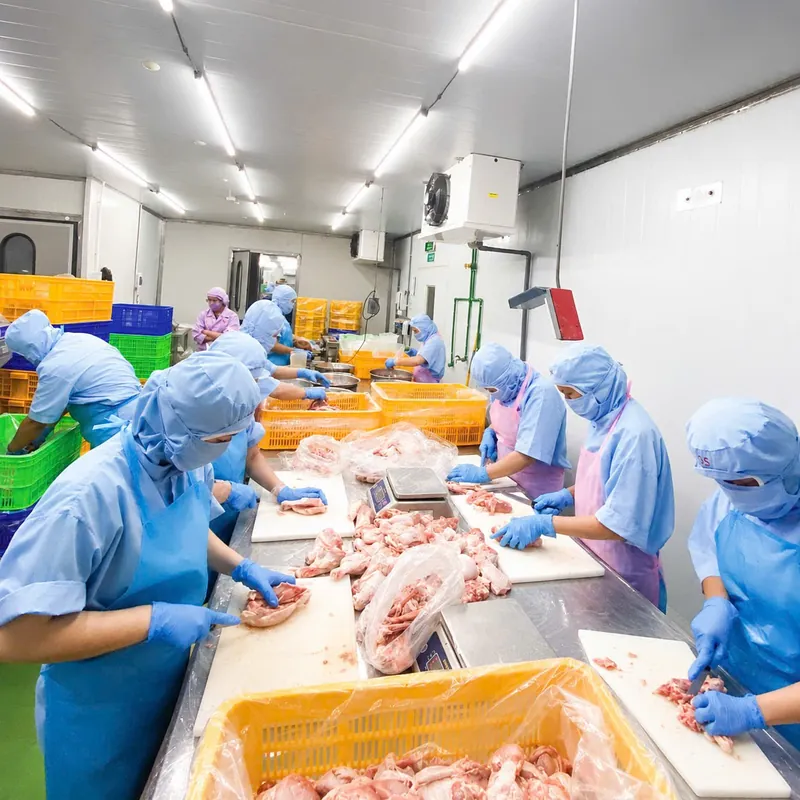 Công nhân kiểm tra nguyên liệu thịt gà